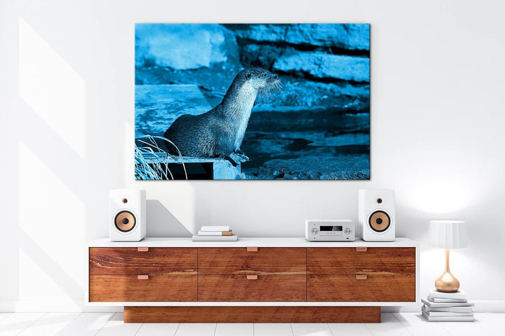 deyoli niedlicher kleiner Otter Format 80x60 Effekt: Monocrome Blau als Leinwandbild, Motiv fertig g