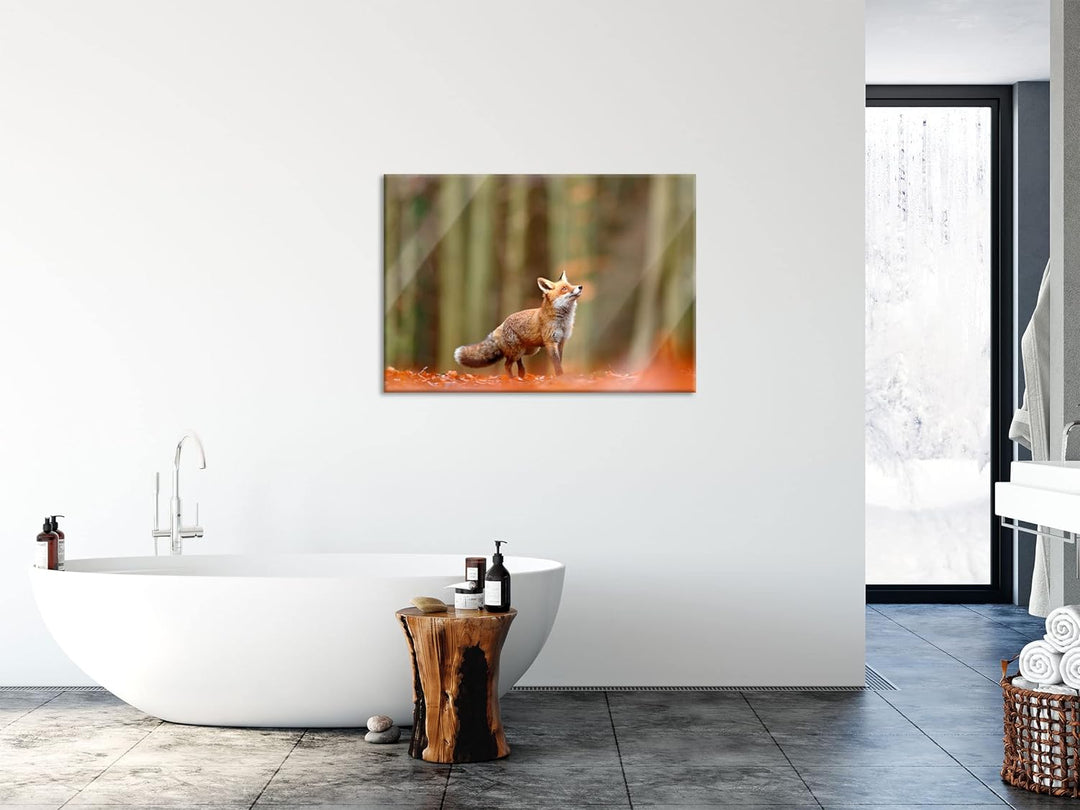 Pixxprint Glasbild | Wandbild aus Echtglas | Neugieriger Fuchs im Herbstwald | 80x60 cm | inkl. Aufh