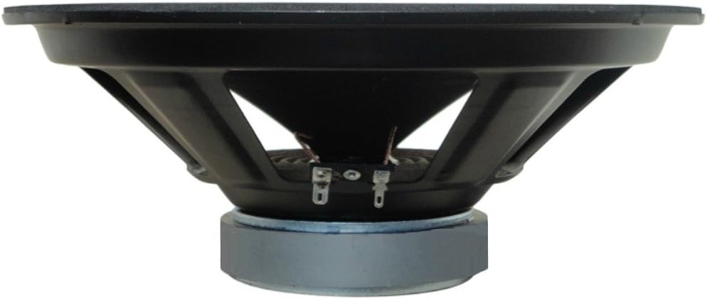 1 WEB W-128 Lautsprecher niedrige mid woofer Diffuser 30,00 cm 300 mm 12" von 125 watt rms 250 watt