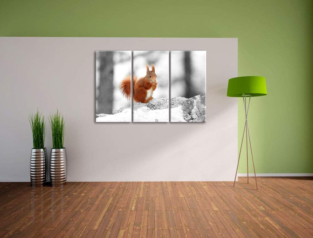 niedliches Eichhörnchen in verschneitem Wald schwarz/weiss 3-Teiler Leinwandbild 120x80 Bild auf Lei