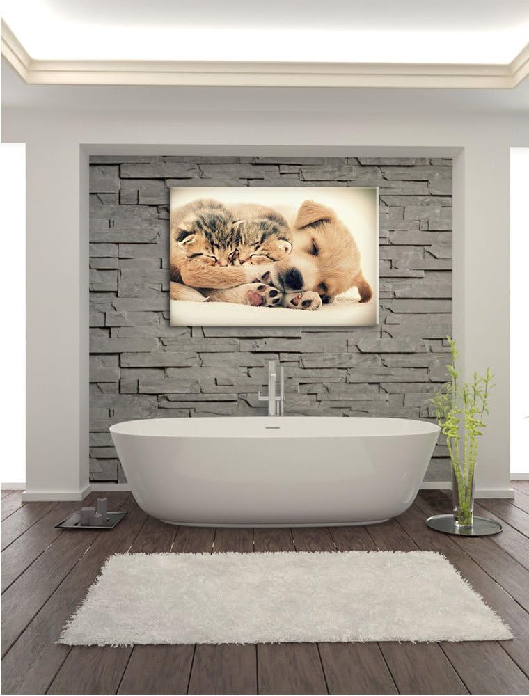 Pixxprint Hundewelpe mit kleinen Kätzchen / 100x70cm Leinwandbild bespannt auf Holzrahmen/Wandbild K