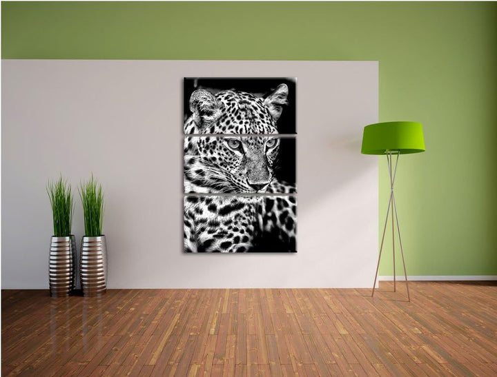 Pixxprint Leopard mit blauen Augen als Leinwandbild/Grösse: 3 Teilig (120x80) cm/Wandbild/Kunstdruck