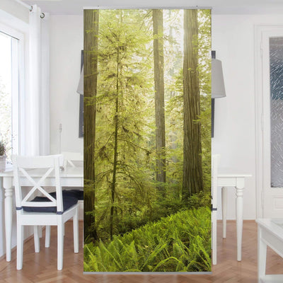 Bilderwelten Raumteiler Redwood State Park Waldblick 250x120cm ohne Halterung 250 x 120cm ohne Halte