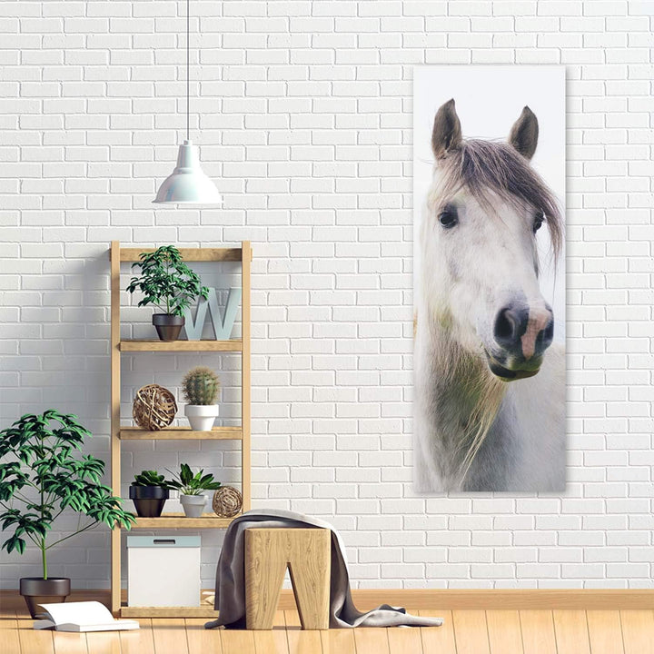 Wandbild Pferd Modern Deko Kunst Bilder Tier Weiss 30x90 cm M14016 30x90 cm, M14016 30x90 cm