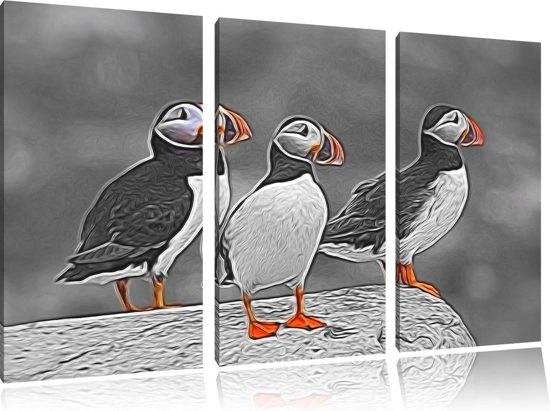 elegante Papageitaucher auf Felsen schwarz/weiss Spezial 3-Teiler Leinwandbild 120x80 Bild auf Leinw