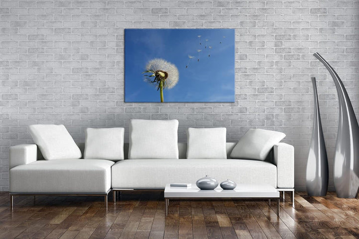 deyoli bezaubernde Pusteblume Format: 100x70 als Leinwandbild, Motiv fertig gerahmt auf Echtholzrahm