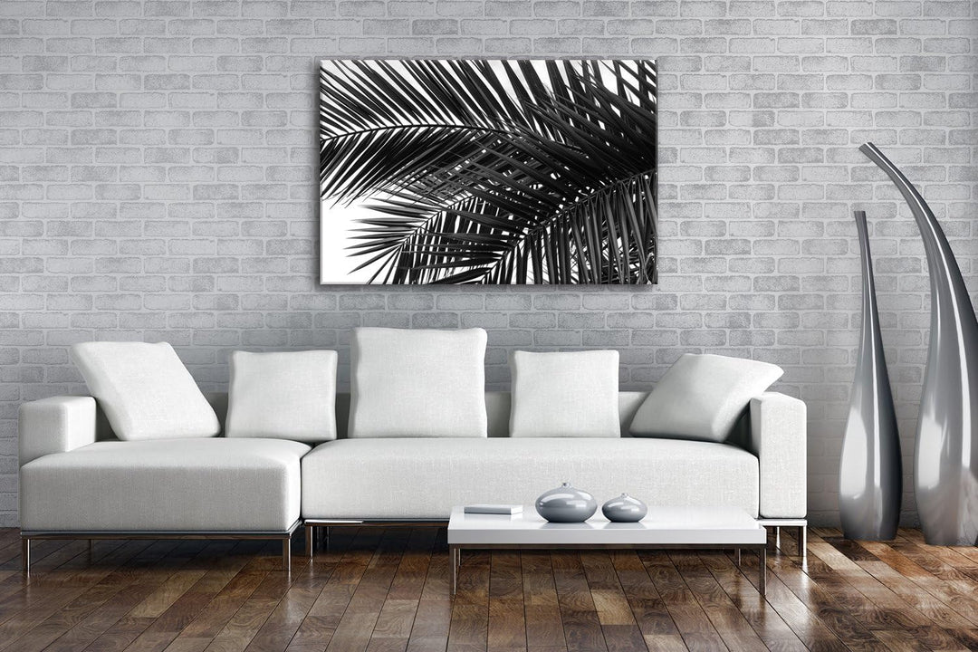 deyoli Palmen Blätter Format: 80x60 Effekt: Schwarz/Weiss als Leinwandbild Motiv fertig gerahmt auf
