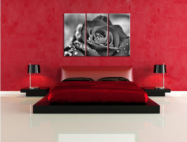 Pixxprint Rose mit Wassertropfen als Leinwandbild/Grösse: 3 Teilig (120x80) cm/Wandbild/Kunstdruck/f