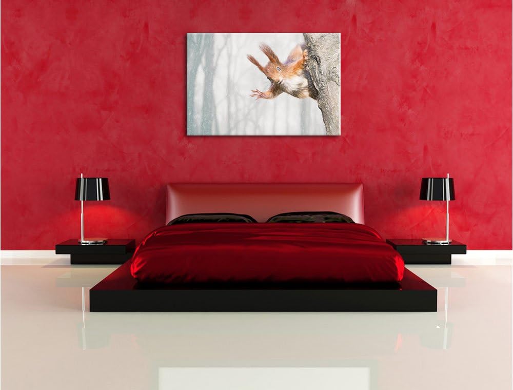Pixxprint Neugierig rotes Eichhörnchen als Leinwandbild/Grösse: 100x70 / Wandbild/Kunstdruck/fertig
