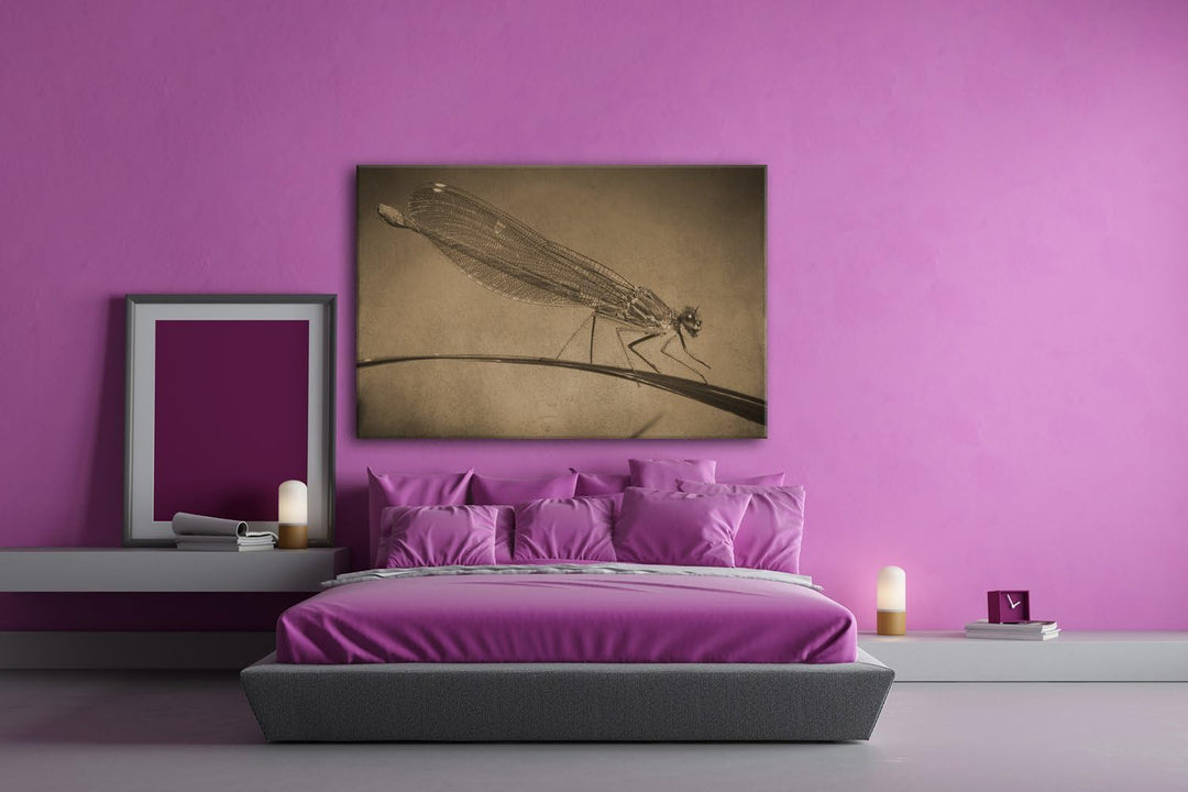 deyoli exotische Libelle Format: 80x60 Effekt: Sepia als Leinwand, Motiv fertig gerahmt auf Echtholz