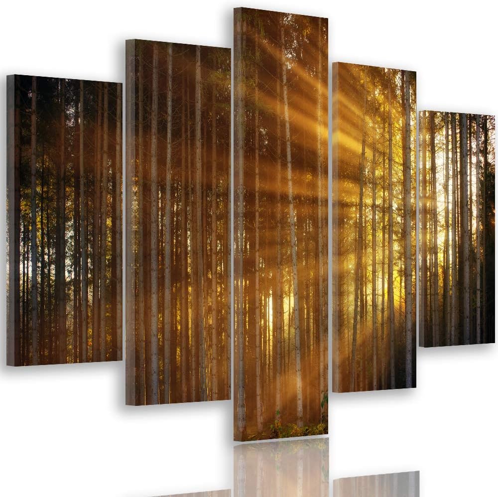 Feeby Wandbild XXL 5 Teilig Natur Leinwandbild Sonnenuntergang Bäume orange 300x140 cm Leinwandbild