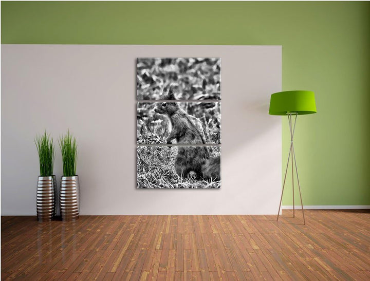 Pixxprint Monocrome, kleines Eichhörnchen auf Waldboden 3-Teiler Leinwandbild 120x80 Bild auf Leinwa