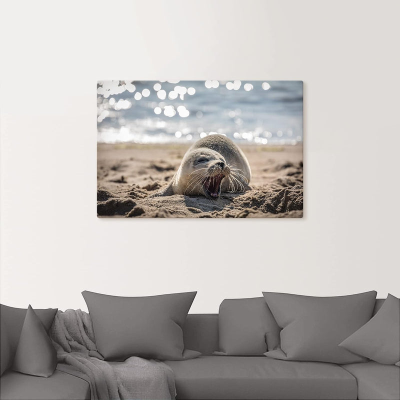 ARTland Leinwandbilder Wandbild Bild auf Leinwand 90x60 cm Wanddeko Baby Robbe Seehund Meer Strand L