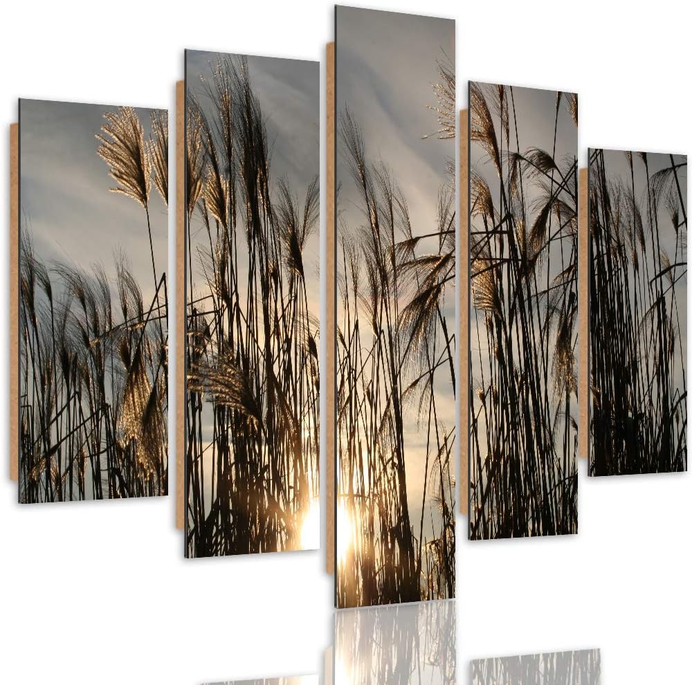 Feeby Wandbild Natur 200x100 cm Deco Panel 5 Teilig XXL Kunstdruck Gras Sonne braun Deco Panel XXL 2