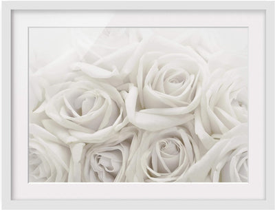 Bild mit Rahmen - Weisse Rosen - Rahmenfarbe Weiss, 30 x 40 cm 30cm x 40cm Weiss, 30cm x 40cm Weiss