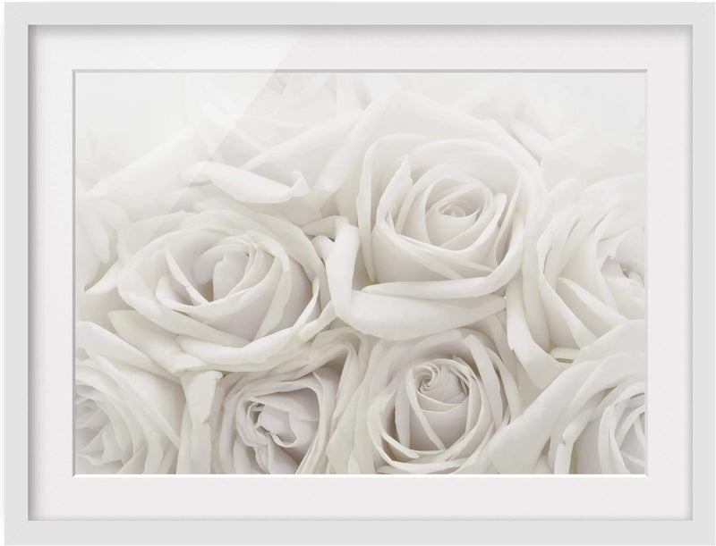 Bild mit Rahmen - Weisse Rosen - Rahmenfarbe Weiss, 30 x 40 cm 30cm x 40cm Weiss, 30cm x 40cm Weiss