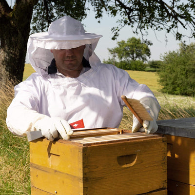 Lantelme Fluglochschieber 15 Stück Bienen Fluglochverkleinerer und Scharniere im Set Imker Imkereibe