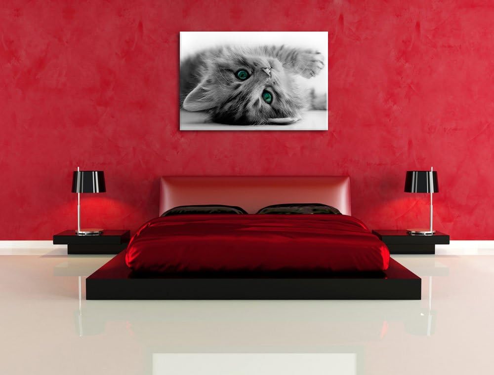 Pixxprint Süsses Katzenbaby als Leinwandbild/Grösse: 100x70 cm/Wandbild/Kunstdruck/fertig bespannt,