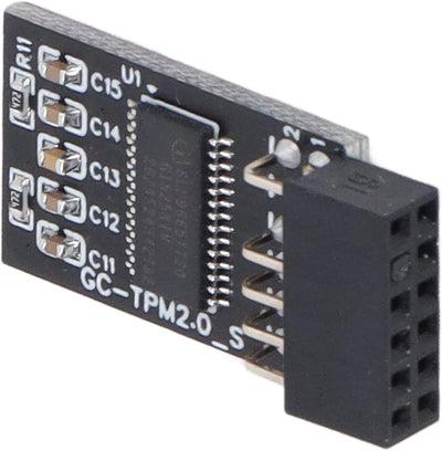 TPM 2.0 Modul LPC SPI 12 Pin Remote Card Encryption Security Board, Zubehör Kompatibel mit Plattform