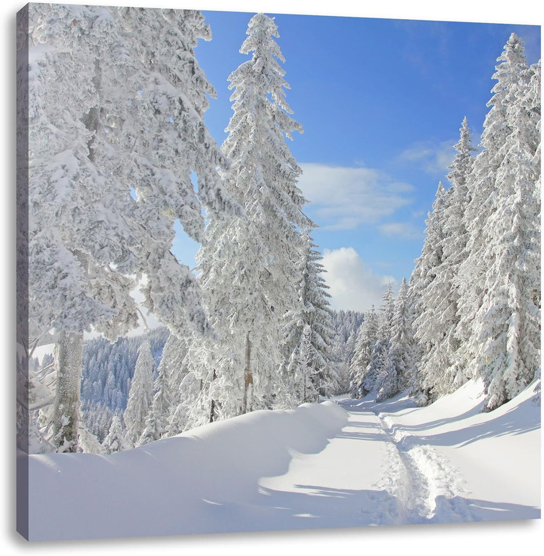 Winterlandschaft Bäume, Format: 70x70 auf Leinwand, XXL riesige Bilder fertig gerahmt mit Keilrahmen