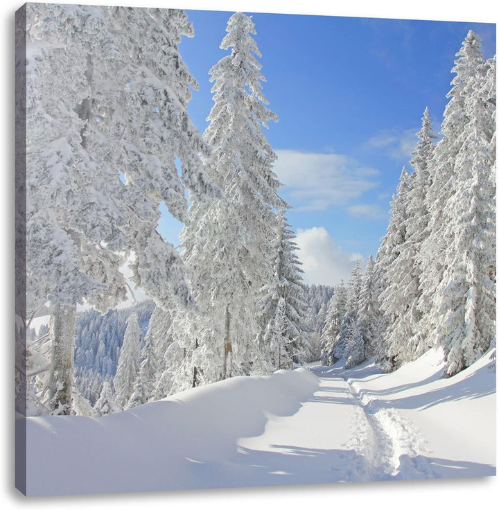 Winterlandschaft Bäume, Format: 70x70 auf Leinwand, XXL riesige Bilder fertig gerahmt mit Keilrahmen