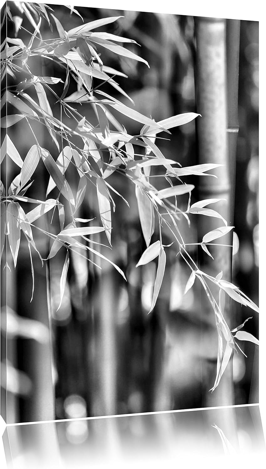 Pixxprint Bambus mit Blättern als Leinwandbild/Grösse: 100x70 / Wandbild/Kunstdruck/fertig bespannt,