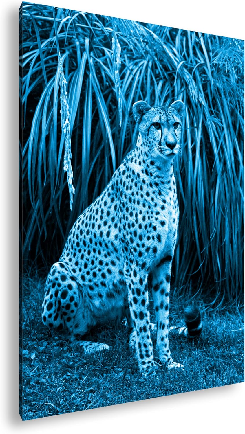 deyoli sitzender Gepard Format 80x60 Effekt: Monocrome Blau als Leinwandbild, Motiv fertig gerahmt a
