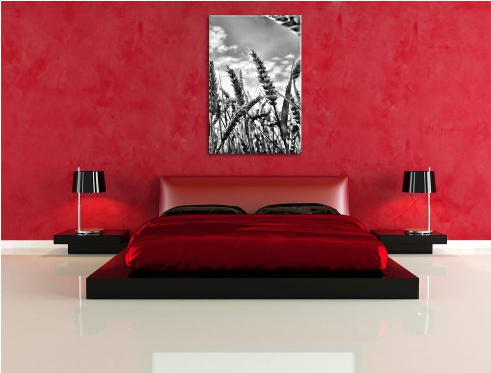 Pixxprint Getreide im Sonnenschein/Format: 100x70cm / Leinwandbild fertig bespannt Wandbild Kunstdru