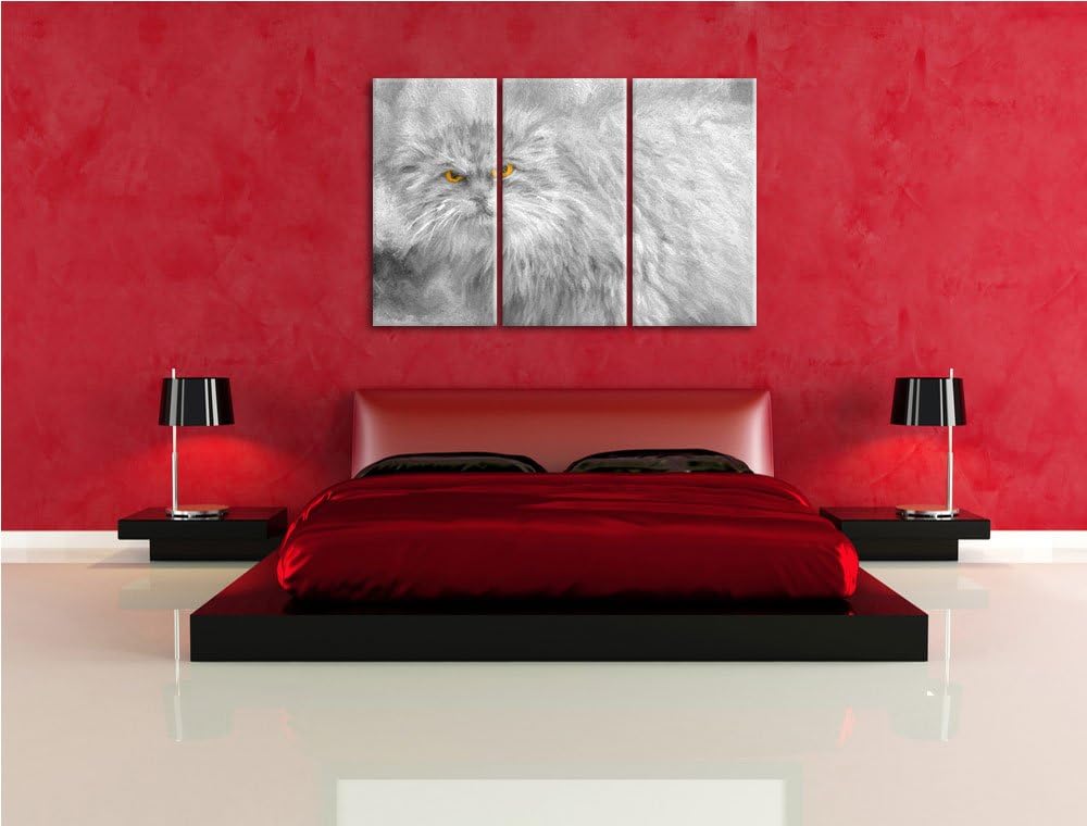 wütende kleine Manul schwarz/weiss Deluxe 3-Teiler Leinwandbild 120x80 Bild auf Leinwand, XXL riesig