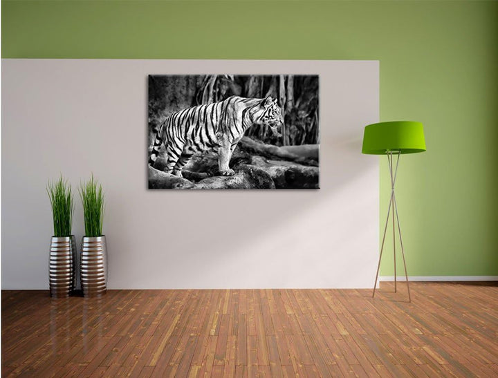 Monocrome, Tiger, Format: 100x70 auf Leinwand, XXL riesige Bilder fertig gerahmt mit Keilrahmen, Kun