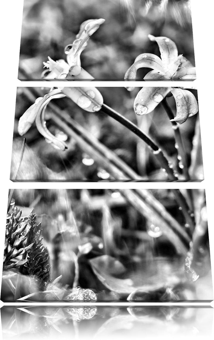 Pixxprint Kleine Lila Waldblume / 3-Teilig/Gesamtmass 120cm Leinwandbild bespannt auf Holzrahmen/Wan