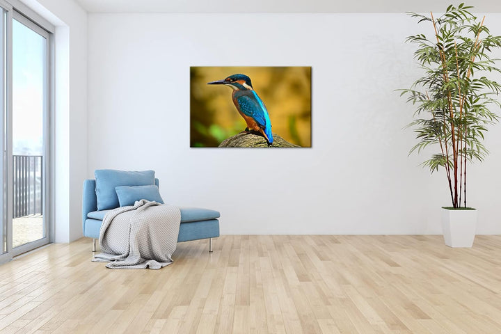 deyoli Eleganter Eisvogel mit blauem Gefieder Format: 80x60 als Leinwand, Motiv fertig gerahmt auf E