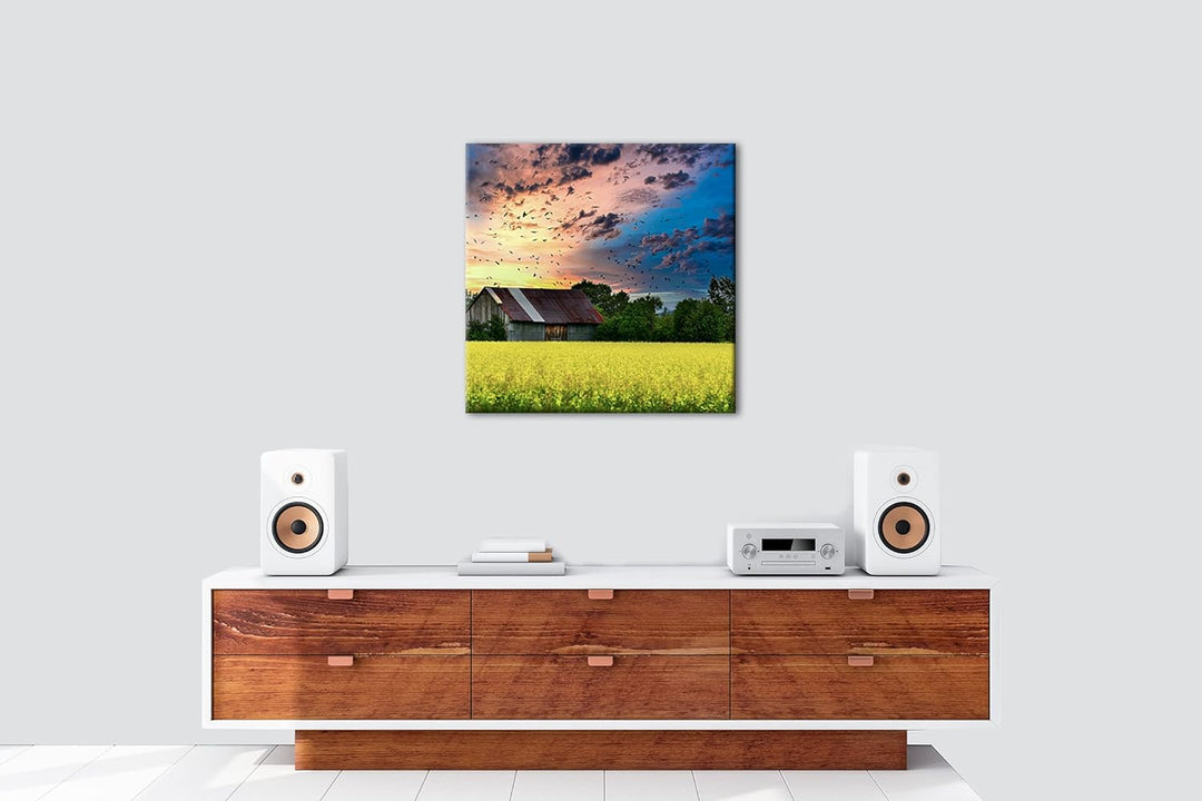 Scheune am blühendem Feld Format: 60x60 als Leinwandbild, Motiv fertig gerahmt auf Echtholzrahmen, H