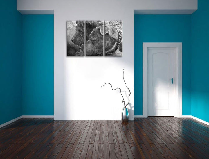 zwei Hunde im Profil NewArt 3-Teiler Leinwandbild 120x80 Bild auf Leinwand, XXL riesige Bilder ferti