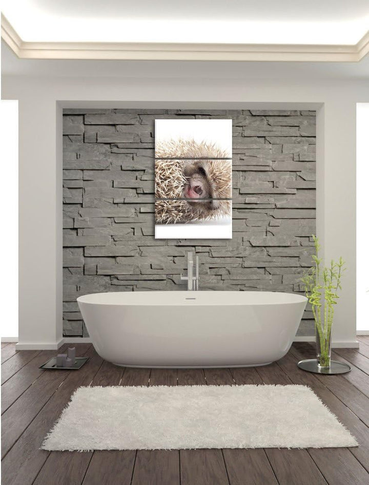 Pixxprint kleines niedliches Igel Baby als Leinwandbild/Grösse: 3 Teilig (120x80) cm/Wandbild/Kunstd