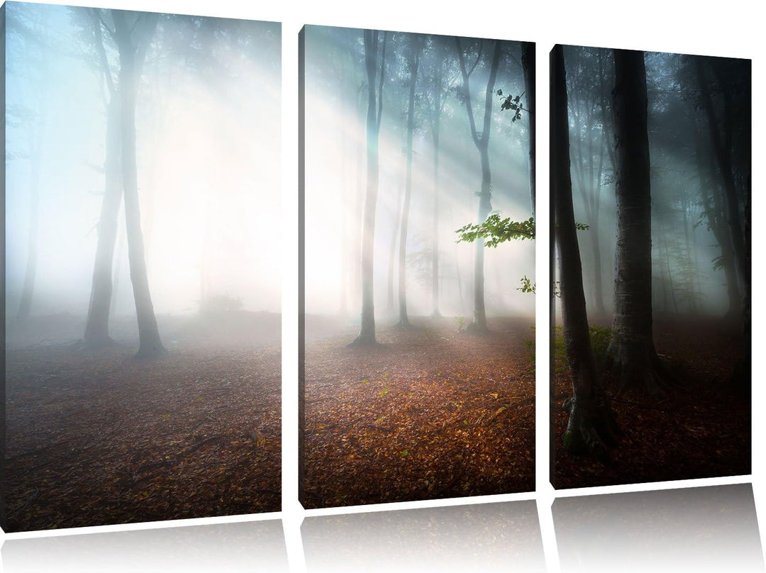 Pixxprint Düsterer Wald im Nebel als Leinwandbild/Grösse: 3 Teilig (120x80) cm/Wandbild/Kunstdruck/f