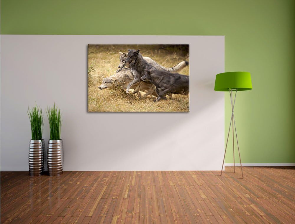 Tobendes Wolfsrudel, Format: 100x70 auf Leinwand, XXL riesige Bilder fertig gerahmt mit Keilrahmen,