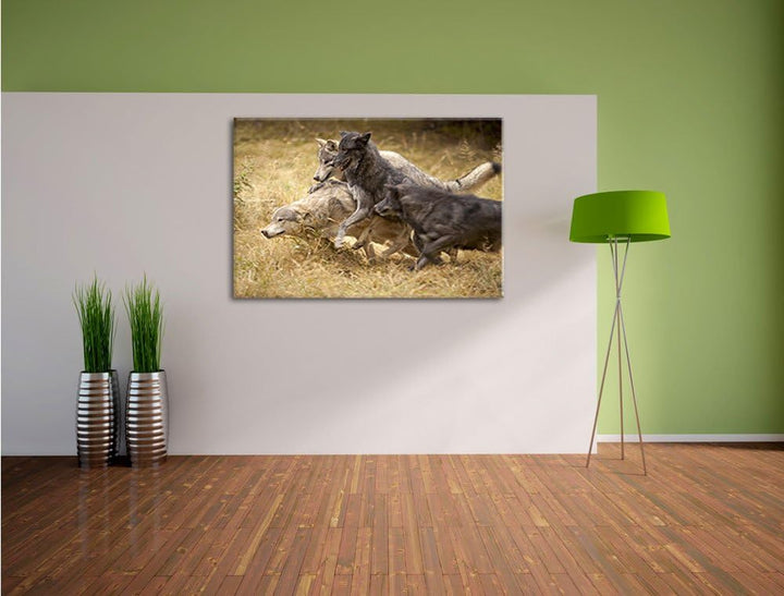 Tobendes Wolfsrudel, Format: 100x70 auf Leinwand, XXL riesige Bilder fertig gerahmt mit Keilrahmen,