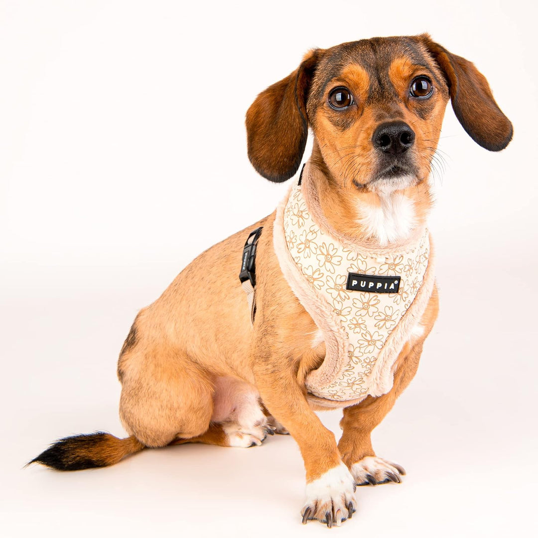 Puppia Hundegeschirr für kleine und mittelgrosse Hunde - Hepatica Harness A - verstellbar und komfor