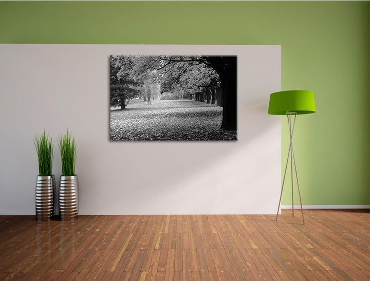 schöner Park im Herbst schwarz/weiss Format: 100x70 auf Leinwand, XXL riesige Bilder fertig gerahmt