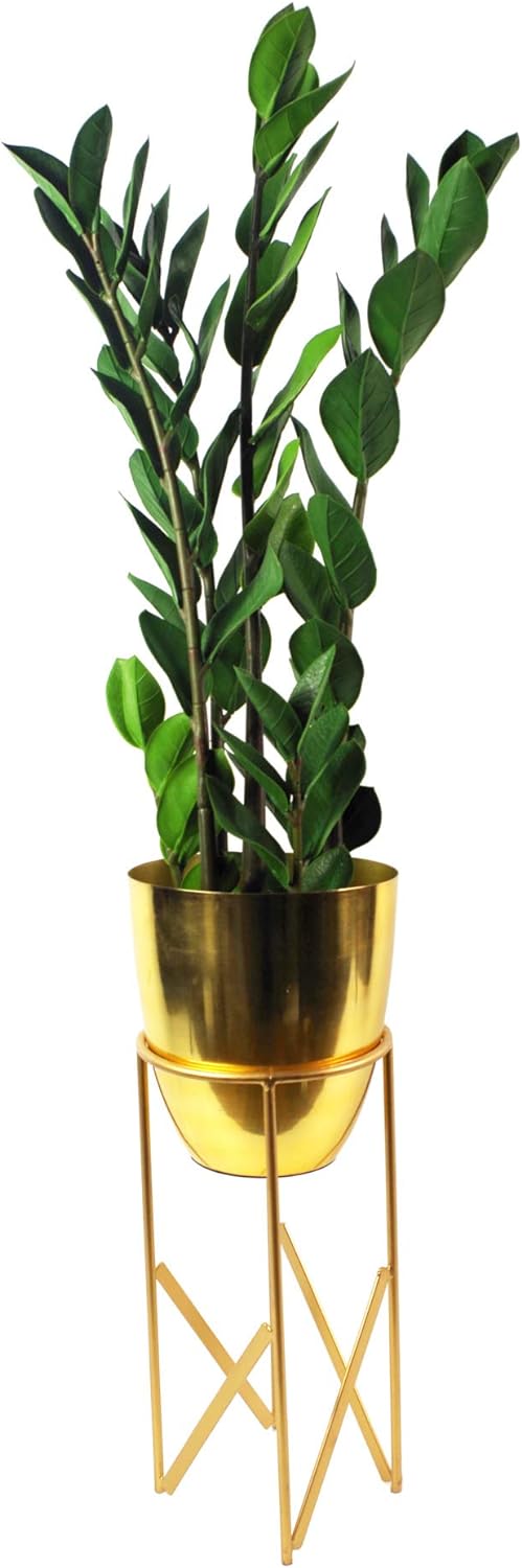 Leaf Large Foliage Plant Design UK Kunstpflanze mit Topf, realistisch, Plastik, Zanzibar Gem, 75 cm