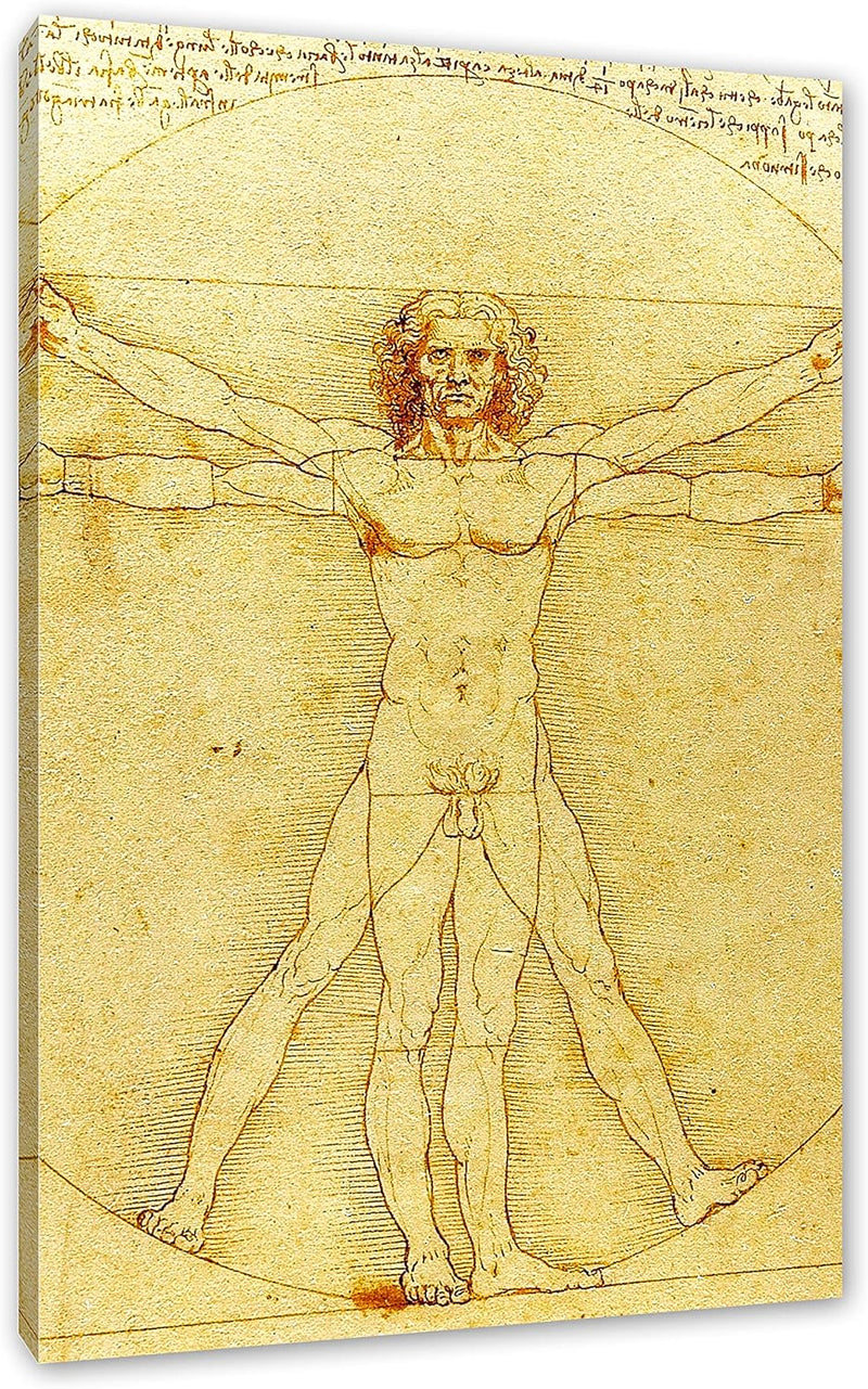 Leonardo da Vinci - Vitruvianischer Mensch als Leinwandbild / Grösse: 120x80 cm / Wandbild / Kunstdr