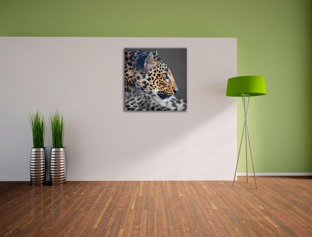 Pixxprint Wachsamer Gepard Schwarz/Weiss, Format: 70x70 auf Leinwand, 70x70
