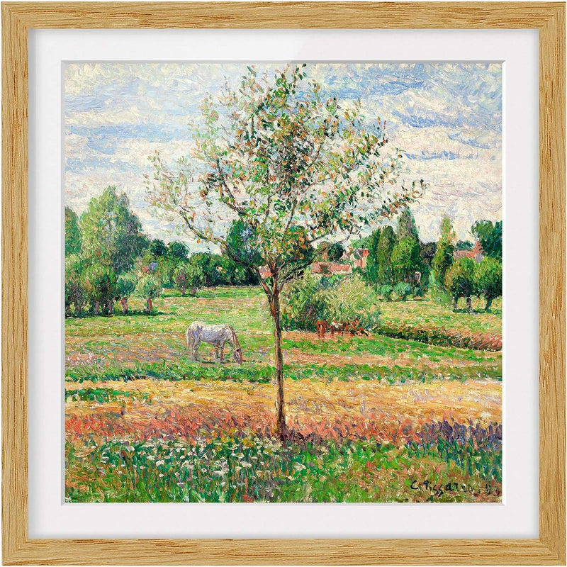 Bild mit Rahmen - Camille Pissarro - Wiese mit Schimmel - Eiche, 70 x 70 cm 70cm x 70cm Eiche, 70cm