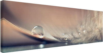 Bilderwelten Leinwandbild - Story of a Waterdrop - Panorama Quer, 60cm x 180cm, 60cm x 180cm