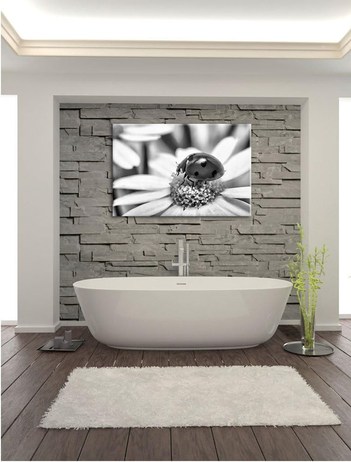 Pixxprint Monocrome, Marienkäfer auf Gänseblümchen als Leinwandbild/Grösse: 100x70 / Wandbild/Kunstd
