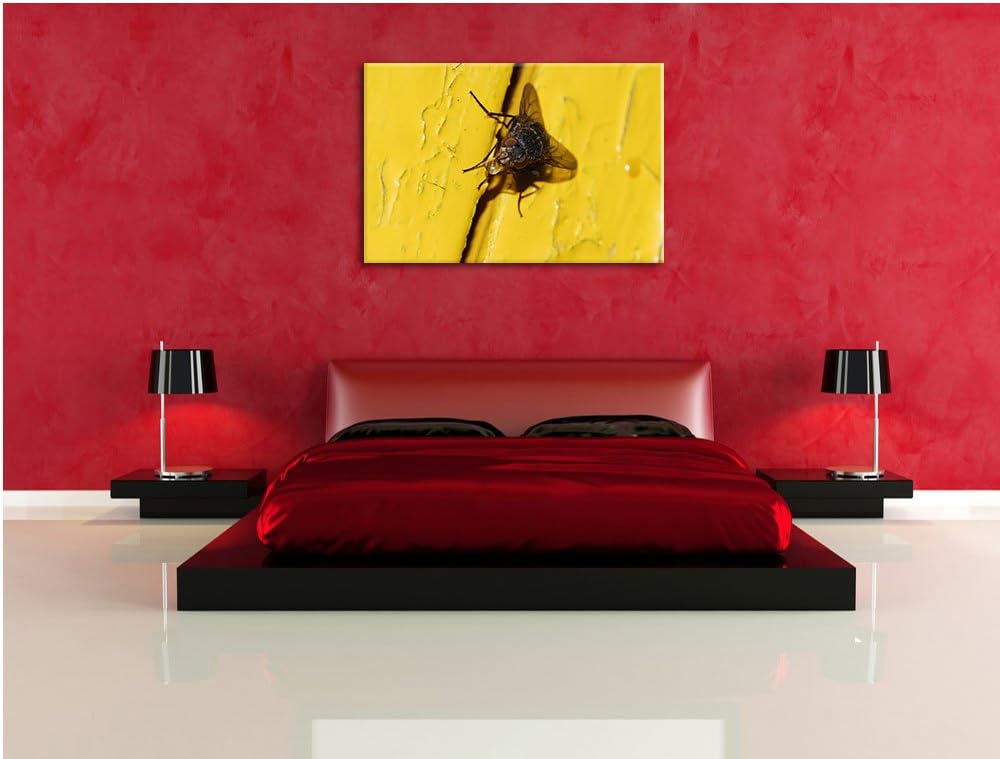 Pixxprint kleine Fliege mit Tautropfen auf Leinwand, XXL riesige Bilder fertig gerahmt mit Keilrahme