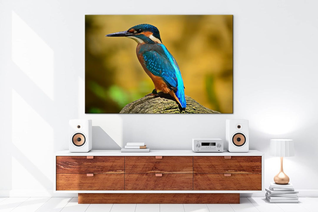 deyoli Eleganter Eisvogel mit blauem Gefieder Format: 80x60 als Leinwand, Motiv fertig gerahmt auf E