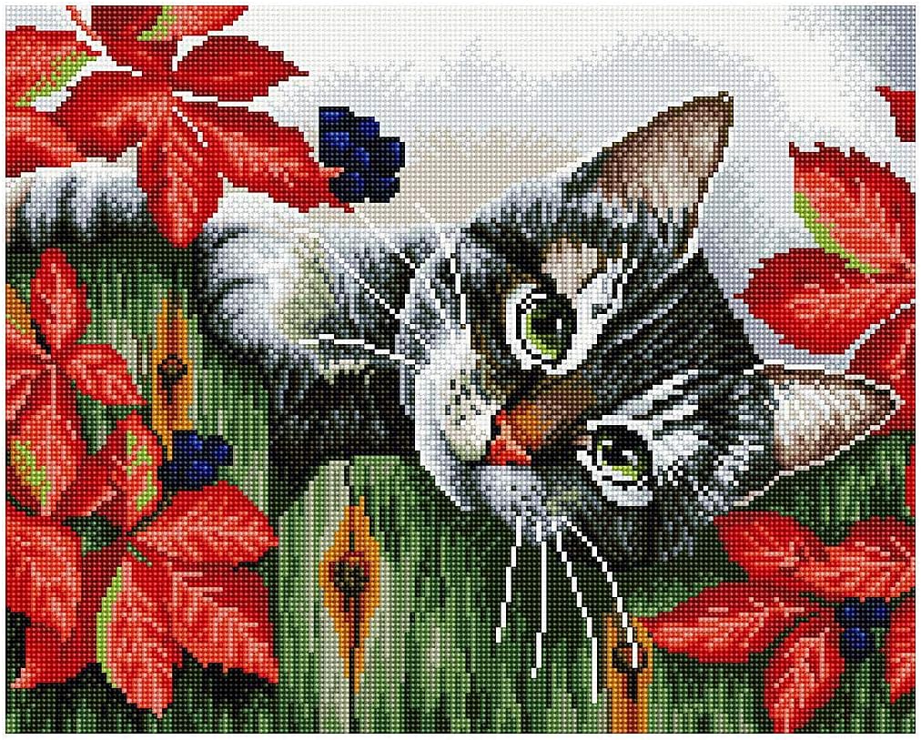 Diamond Vollbedeckung mit Holzrahmen Painting Set Bild 40 x 50 Diamant Malerei Stickerei Handarbeit