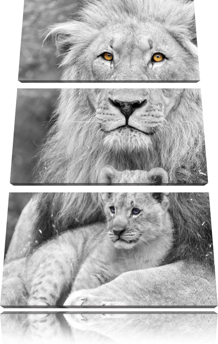 Pixxprint liebevoller Löwe kuschelt mit Jungtier schwarz/weiss 3-Teiler Leinwandbild 120x80 Bild auf